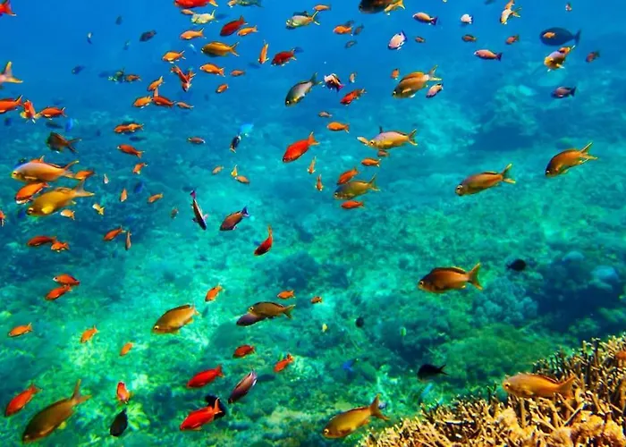 Villa Safari Nusa Lembongan